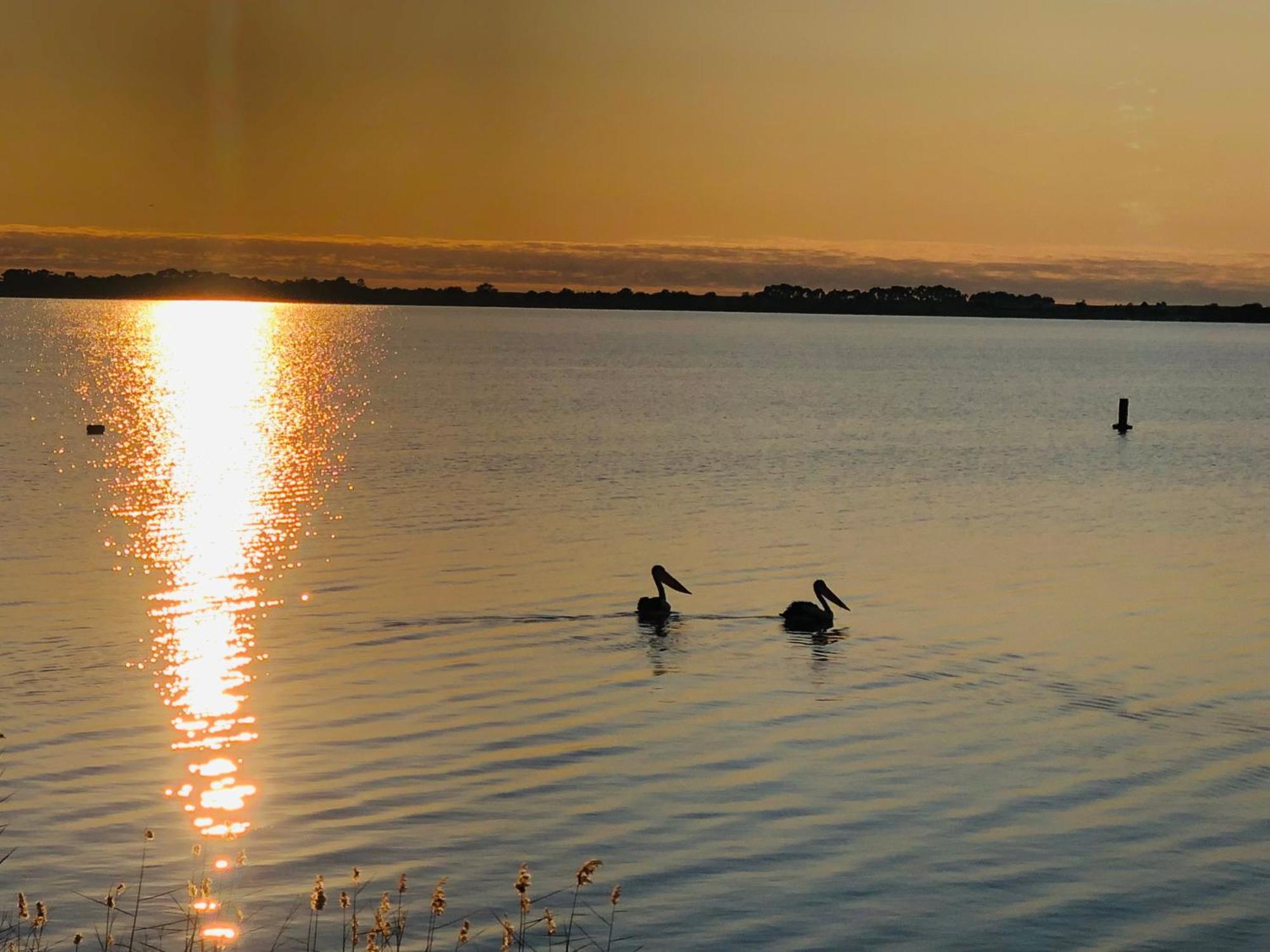 Lake Boga Caravan Park Bagian luar foto